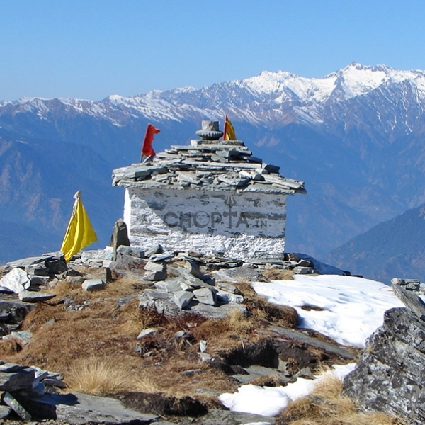 Chopta Tour